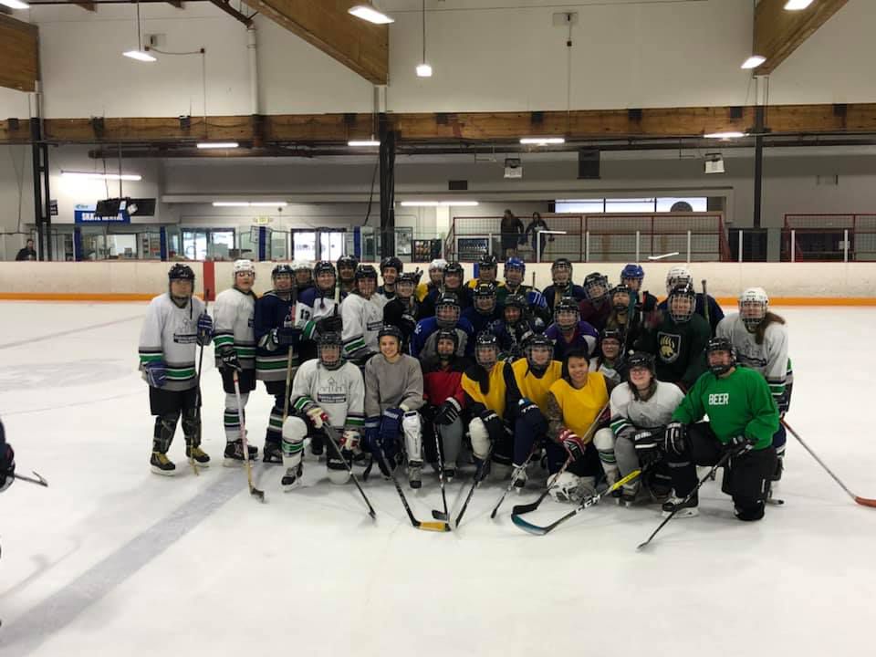 SWHC Players on the ice